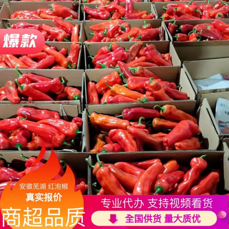 【推荐】红泡椒安徽红椒火爆上市商超品质真实报价