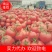 【西红柿】精品硬粉西红柿大量现货质量好价格优