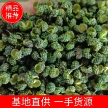 真实报价重庆江津青花椒麻椒青麻椒特香特麻