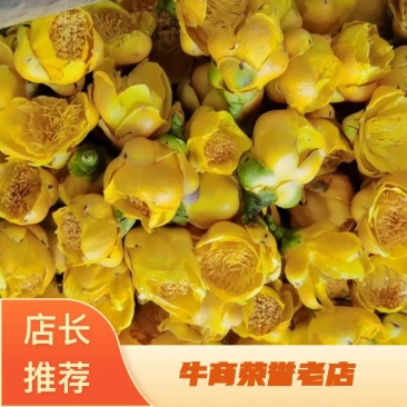 野生金花茶，一手货源，产地直发，质量保证