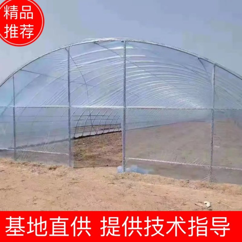 江苏优质养殖大棚椭圆钢管大棚镀锌钢管钢管骨架