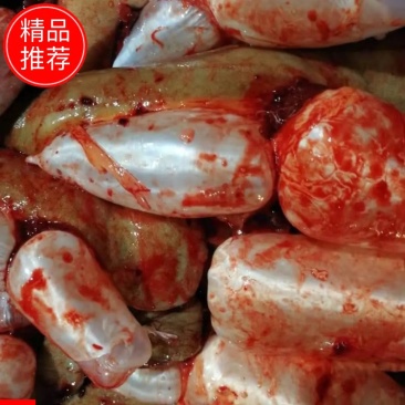 精品新鲜黄鲤鱼籽全国发货鱼场直销质优价廉现发量大从优