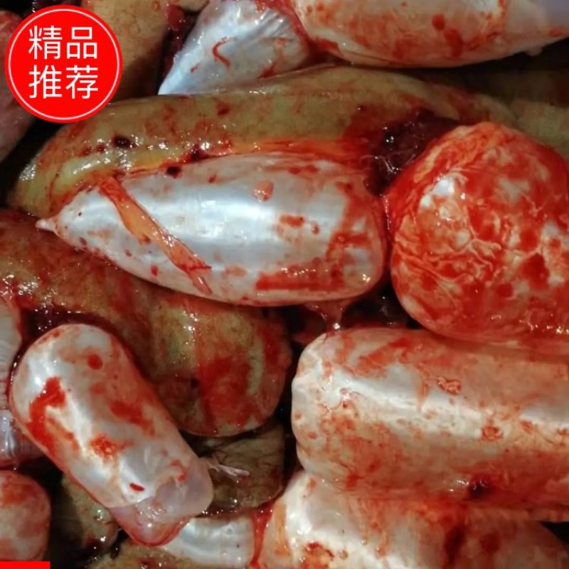精品新鲜黄鲤鱼籽全国发货鱼场直销质优价廉现发量大从优