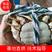 湖北省荆州市洪湖大闸蟹全母礼盒套餐可视频看货