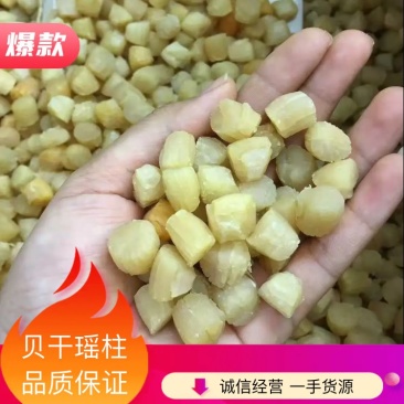 贝干瑶柱，一手货源批发，品质保证，干度好，全国发货包邮