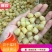 贝干瑶柱，一手货源批发，品质保证，干度好，全国发货包邮