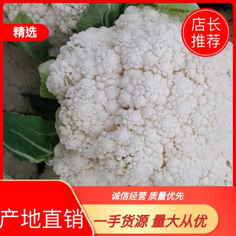 松花菜，四川【有机散花菜】青梗白面，小颗粒，一手货源