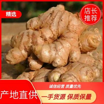 【小黄姜】四川原产地生姜，老姜，一手货源，品质保障