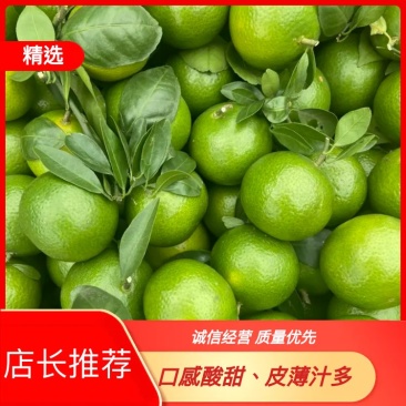 广西皇帝柑柑桔大量上市产地直供量大从优甘甜化渣