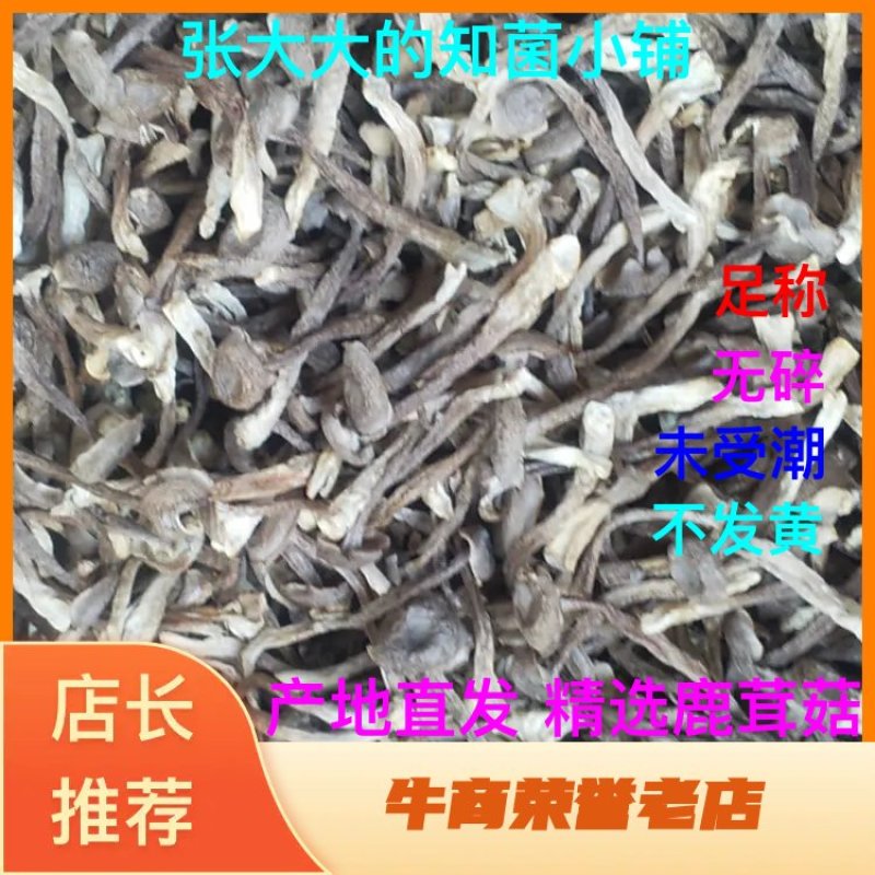 特级干货特级鹿茸菇鹿茸菇鹿茸菇鹿茸菇普通特好