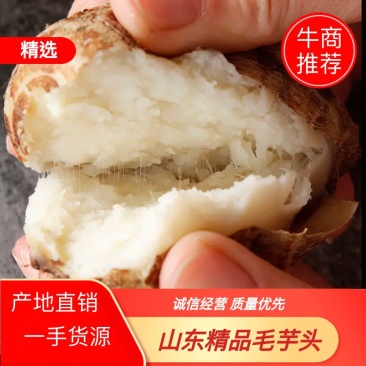 山东毛芋头口感甜糯货源充足批发电商欢迎实地考察