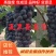 【有好货】葡萄苗夏黑葡萄苗早夏葡萄苗保纯度保成活