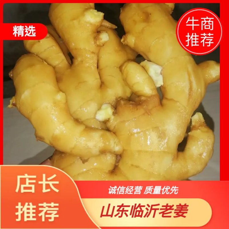 山东临沂老姜，小黄姜，姜把，风干姜，全国发货