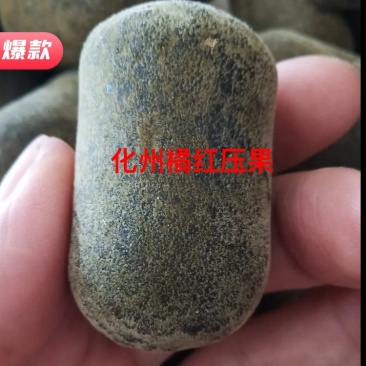 化州橘红压果假一赔三（产地直销）规格2.8cm量大从优