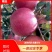 《精品丑苹果》优质大量供应产地批发货源充足代发全国
