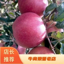 苹果大量有货万亩基地直销口感甜脆多汁量大优