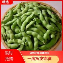 【热卖】翠绿宝毛豆大量有货质优价廉保质保量新鲜采摘