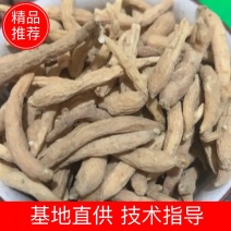 太子参太子参好统货新店开业物美价廉低价销售