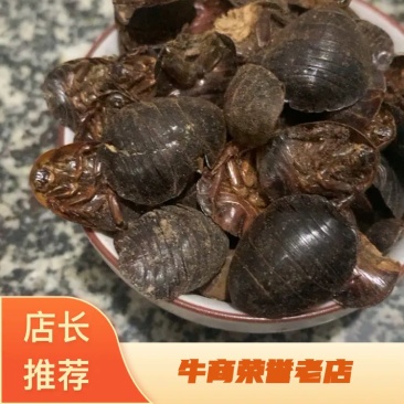 土鳖虫土元统货新店开业价格低保证质量7天无理由退换货