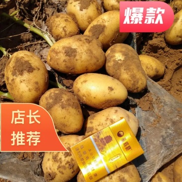 土豆，大量上市中，欢迎全国各地的老板来采购