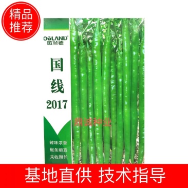 欧兰德国线2017/国线2019线椒辣椒椒条顺直