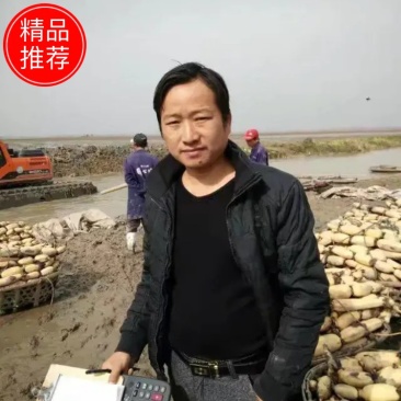 鄂莲6号，粉藕