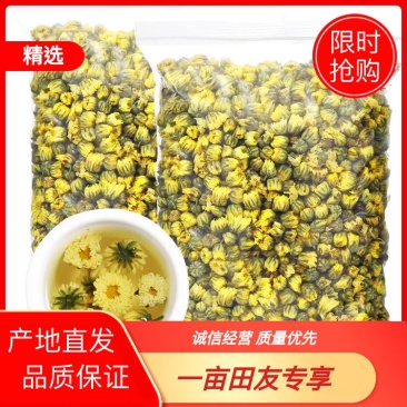 菊花正品胎菊桐乡胎菊王胎菊茶