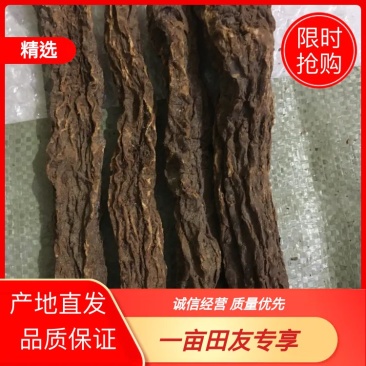 锁阳中药材锁阳锁阳个锁阳片