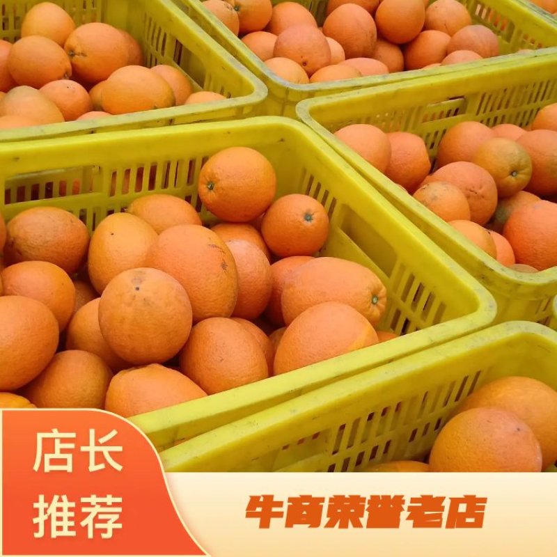 湖北宜昌脐橙长红脐橙各种规格包装都可以提供量大优惠