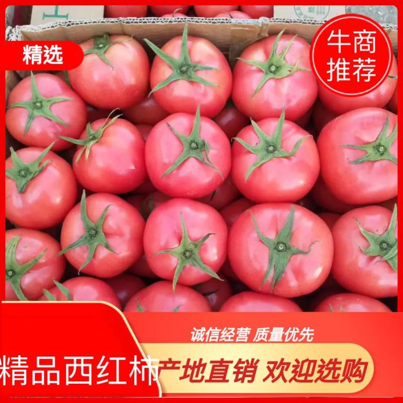 精品暖棚硬粉西红柿，品质好，价格优惠，场地直发。