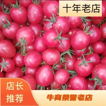 千禧圣女果【产地广西】对接商超市场，电商，价格透明