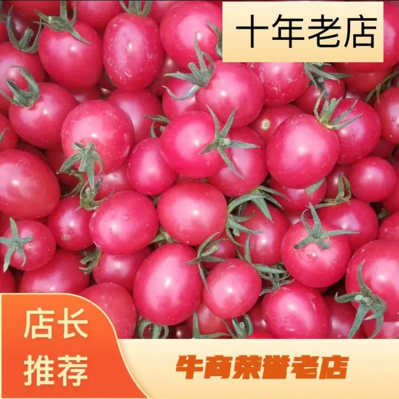 千禧圣女果【产地广西】对接商超市场，电商，价格透明