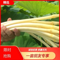 【**】仙桃藕带，鲜货，真空次日到货质优价廉