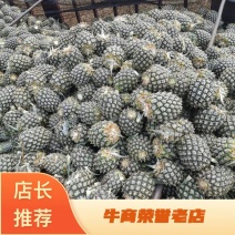 罐头菠萝（长年四季都是好货