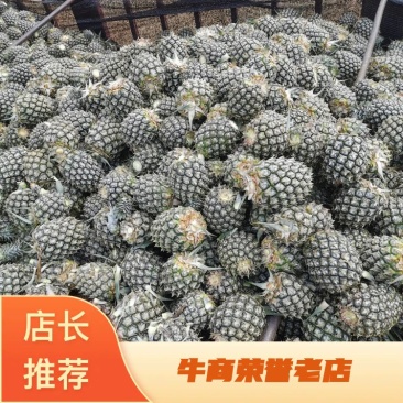 罐头菠萝（长年四季都是好货