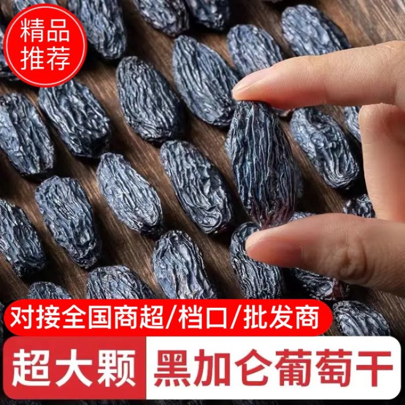 【有好货】特大精品水洗黑加仑源头货全国批发可视频看货量大