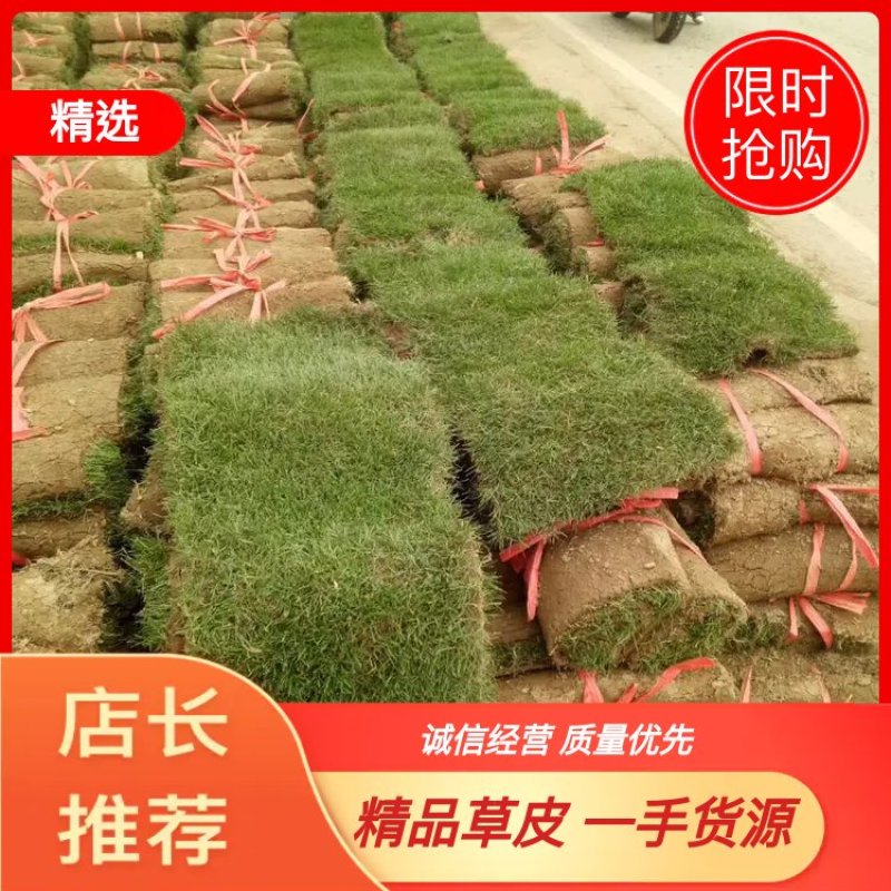 精品草皮，马泥拉，百慕大，台湾青，草皮基地