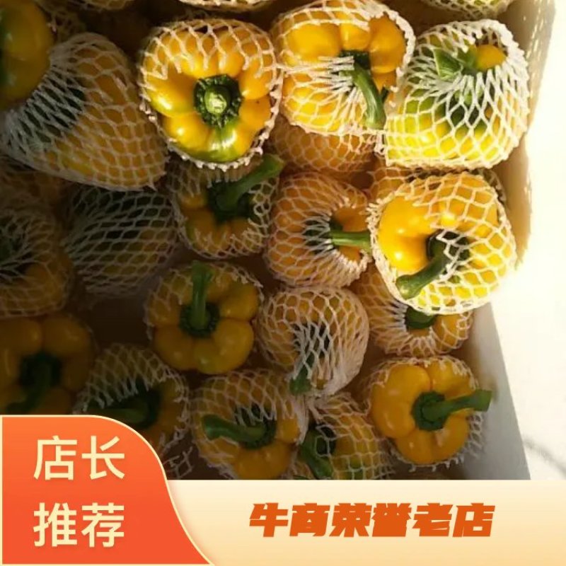 彩椒—基地直供货源《量大优惠四季供应》