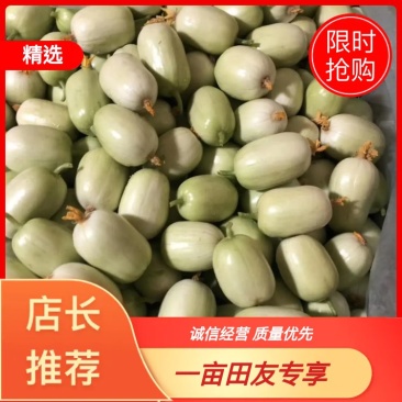 金童玉女小黄瓜—基地直供货源《量大优惠四季供应》