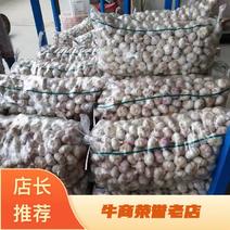 邳州精品紫红皮大蒜，对接电商平台代收，代储，，可视频