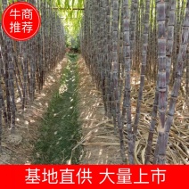 【精品甘蔗】黑皮甘蔗广东甘蔗产地直销包甜