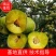 清脆李子苗一手货源，早熟清脆李，晚熟清脆李，品种纯正技术指导
