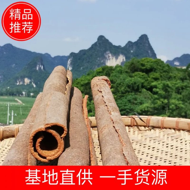广西产地桂皮肉桂2026年新晒干香料包邮