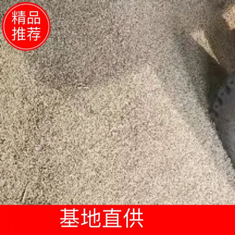 东北响水石板大米核心产区，稻花香2号水稻