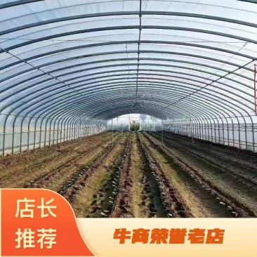 大棚骨架设计安装，各种规格价格低质量好支持货到付
