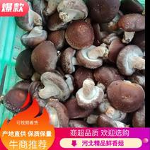 【香菇】鲜香菇平台专用香菇3-6公分储存【商超品质】