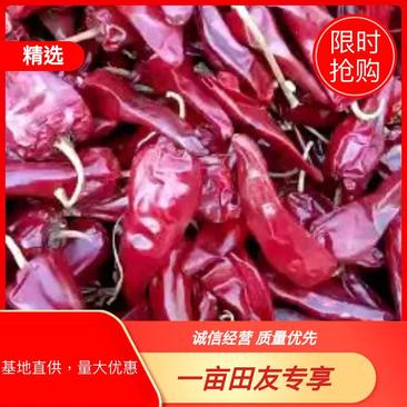 北京红干辣椒大量上市，保质保量，基地直供