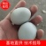 绿壳乌鸡蛋大量批发欢迎老板订购。。。。。