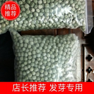精品绿豌豆，方绿，圆绿，现货批发。大量供应