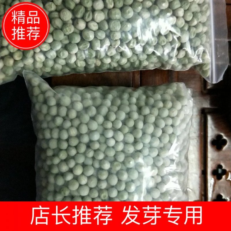 精品绿豌豆，方绿，圆绿，现货批发。大量供应
